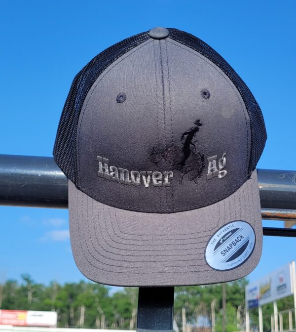 Grey Lid Snapback Ball Cap